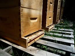 best containers for grain storage