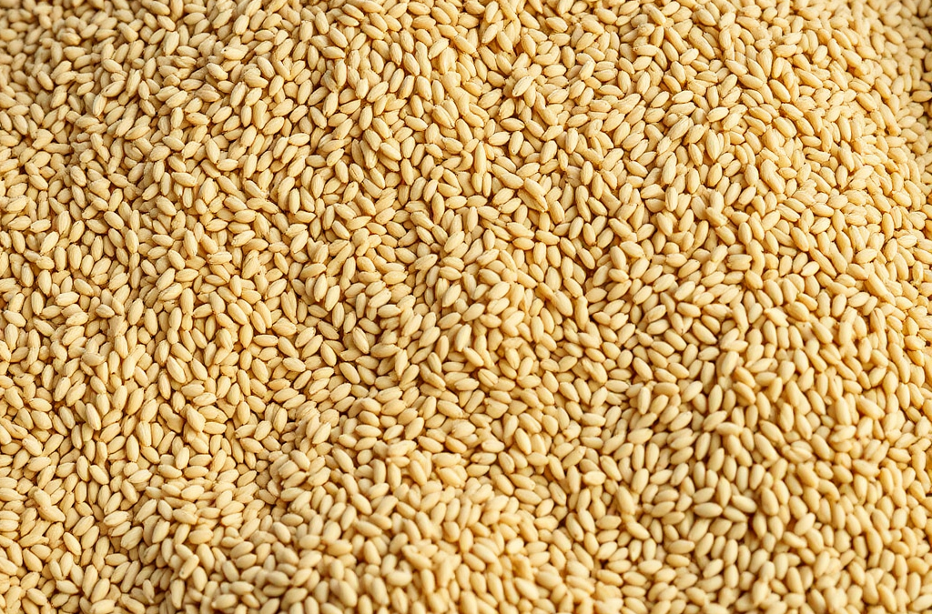 How to Troubleshoot Grain Storage Issues: Common Problems and Effective Solutions